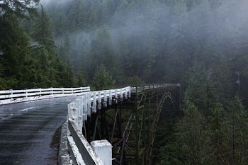 bridge towards mountain with trees during foggy daytime