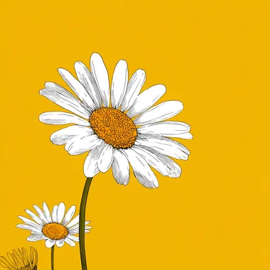 Bright and Cheerful Daisy Illustration Bright and Cheerful Daisy Illustration