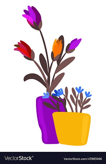 bright flowers in pots isolated
