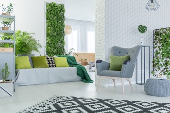 Bright living room with sofa, armchair, pouf and green plants