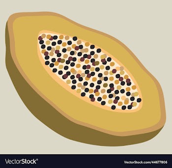 bright of honey melon