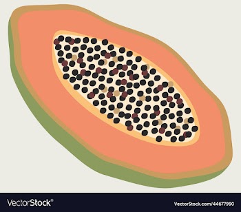 bright of papaya fruit