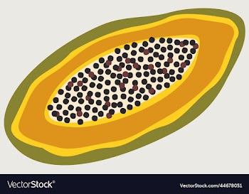 bright of papaya fruit