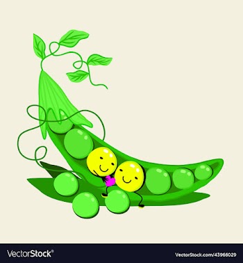 bright of peas