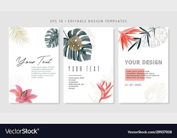 bright tropical design template text area