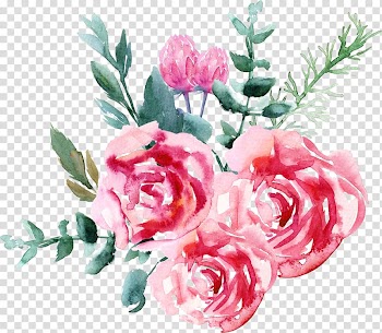 Bright watercolor flowers transparent background PNG clipart