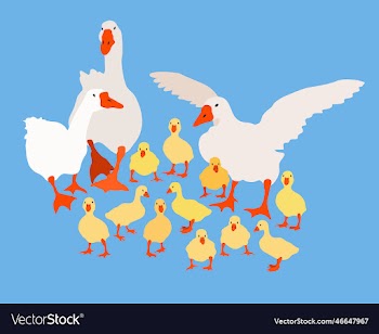 bright with geese and goslings