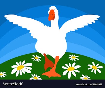 bright with goose running on a field