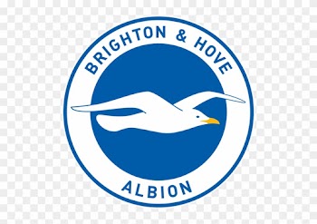 Brighton &amp; Hove Albion F - Brighton And Hove Albion Logo Png