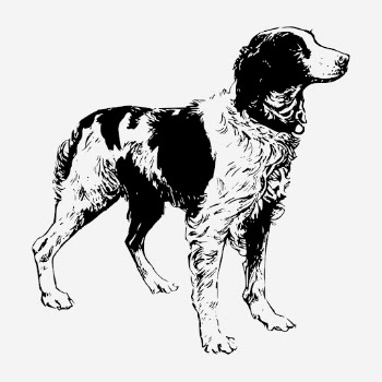 Brittany Spaniel dog hand drawn | Free Photo - rawpixel