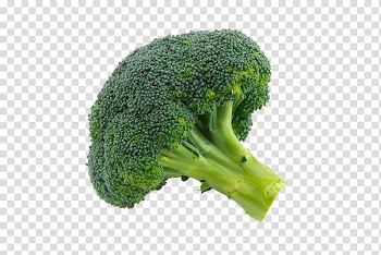 Broccoli, Broccoli sprouts Cauliflower Vegetable, broccoli transparent background PNG clipart
