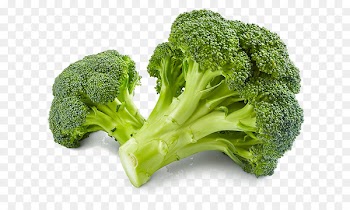 Broccoli Brussels sprout Capitata Group Vegetable Cauliflower - broccoli 
