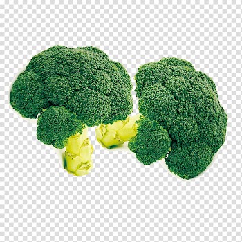 Broccoli Cabbage Vegetable , Cauliflower transparent background PNG clipart