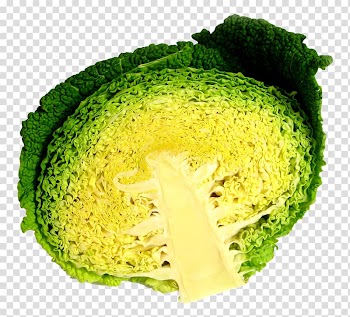 Broccoli Cabbage Vegetarian cuisine, Cabbage Half transparent background PNG clipart
