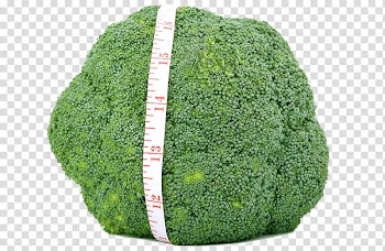 Broccoli Cauliflower Cabbage Vegetable Appetite, HD tape tied broccoli transparent background PNG clipart