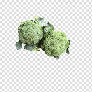 Broccoli Cauliflower Vegetable, Broccoli transparent background PNG clipart