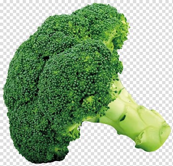 Broccoli Cruciferous vegetables Cauliflower Cabbage, Broccoli , broccoli vegetable transparent background PNG clipart