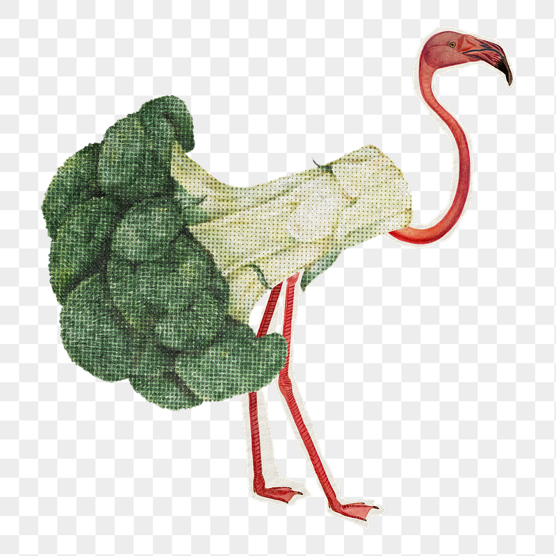 Broccoli flamingo png sticker, vegetable | Free PNG - rawpixel