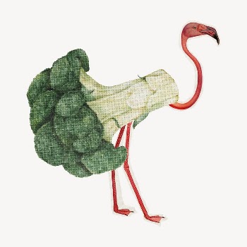 Broccoli flamingo, vegetable and animal | Free PSD - rawpixel