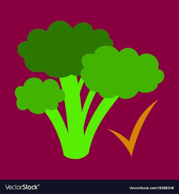 Broccoli flat isolated on background fresh vector image
