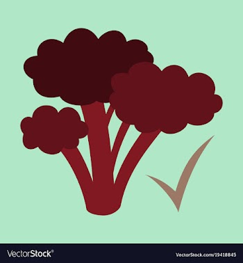 Broccoli flat isolated on background fresh vector image