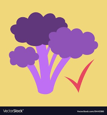 Broccoli flat isolated on background fresh vector image