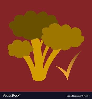 Broccoli flat isolated on background fresh vector image