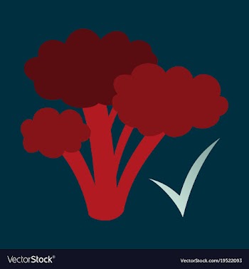 Broccoli flat isolated on background fresh vector image