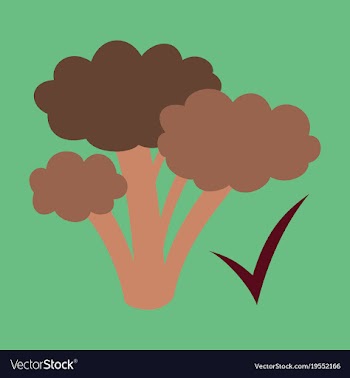 Broccoli flat isolated on background fresh vector image