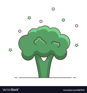 Broccoli icon vector image