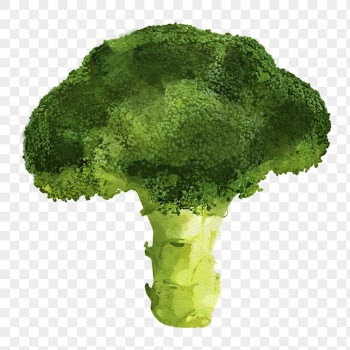 Broccoli png clipart, vegetable drawing | Free PNG - rawpixel