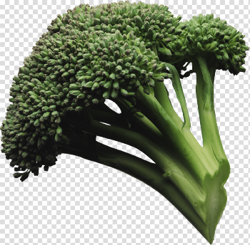 Broccoli Png Image
