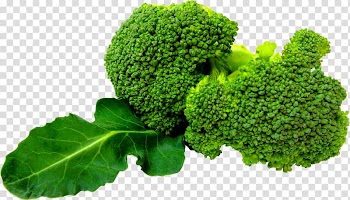 Broccoli slaw Leaf vegetable, broccoli transparent background PNG clipart