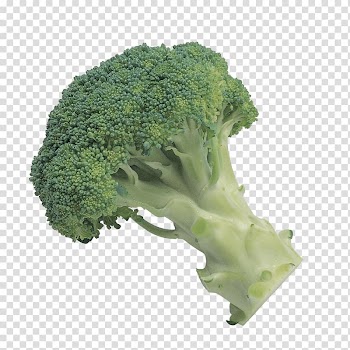 Broccoli slaw Vegetable , Green broccoli transparent background PNG clipart