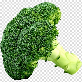 Broccoli sprouts Organic food Vegetable Seed, directions for cook spaghetti squash transparent background PNG clipart