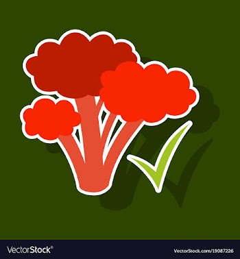 Broccoli sticker isolated on background fresh vector image
