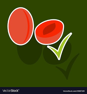 Broccoli sticker isolated on background fresh vector image