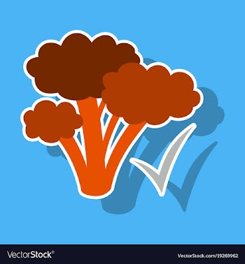 Broccoli sticker isolated on background fresh vector image