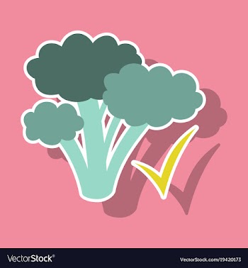 Broccoli sticker isolated on background fresh vector image