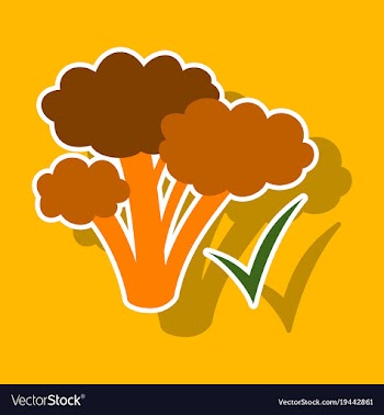 Broccoli sticker isolated on background fresh vector image