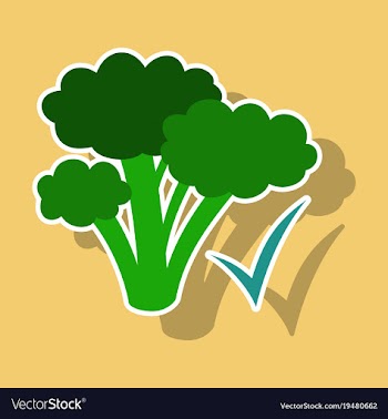 Broccoli sticker isolated on background fresh vector image