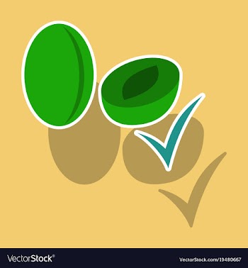 Broccoli sticker isolated on background fresh vector image