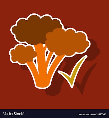 Broccoli sticker isolated on background fresh vector image