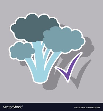 Broccoli sticker isolated on background fresh vector image