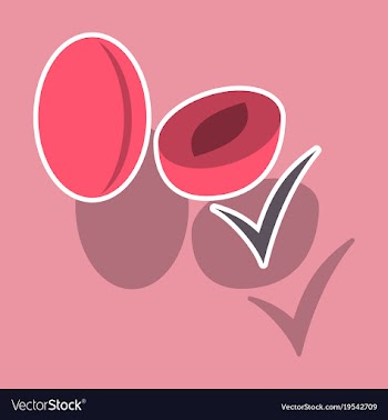 Broccoli sticker isolated on background fresh vector image