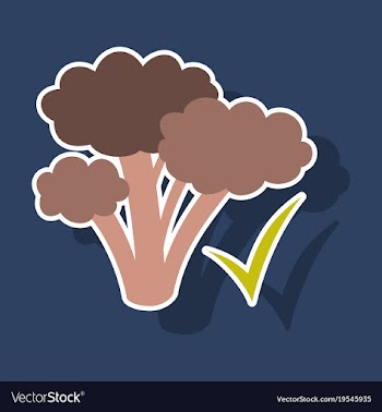 Broccoli sticker isolated on background fresh vector image