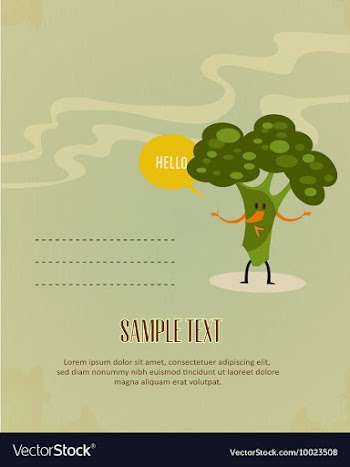 Broccoli vector image