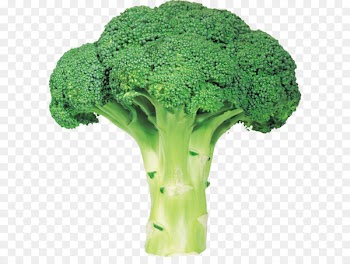 Broccoli Vegetable - Broccoli PNG image with transparent background 