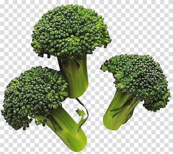 Broccoli Vegetable Cabbage, Broccoli transparent background PNG clipart