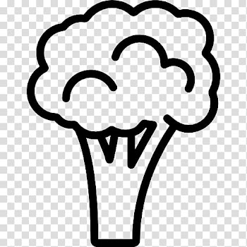 Broccoli Vegetable Cauliflower Chinese cabbage , broccoli transparent background PNG clipart